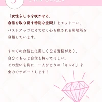 画像244