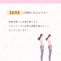 画像262