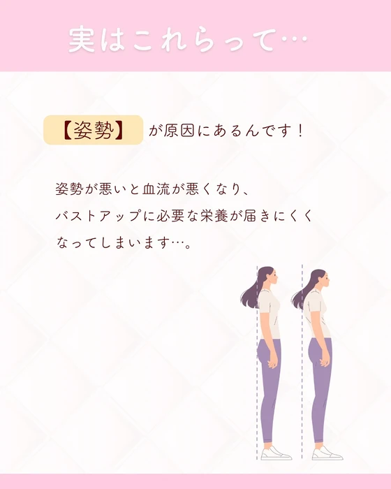 画像262