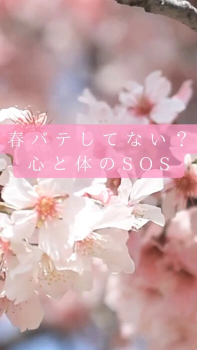 画像407